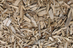 biomass boilers Tresawsen